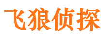 香河市婚外情调查